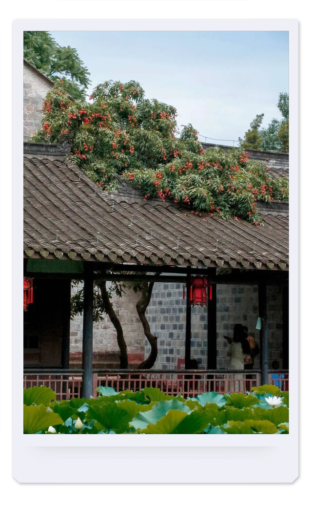 微信图片_20250311102445.jpg