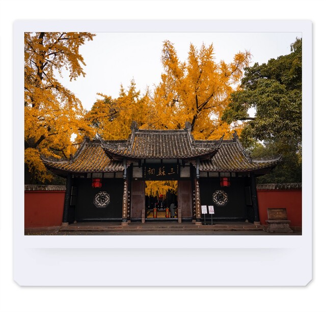 微信图片_20250311105250.jpg